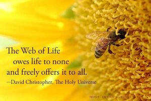 web of life owes life to none